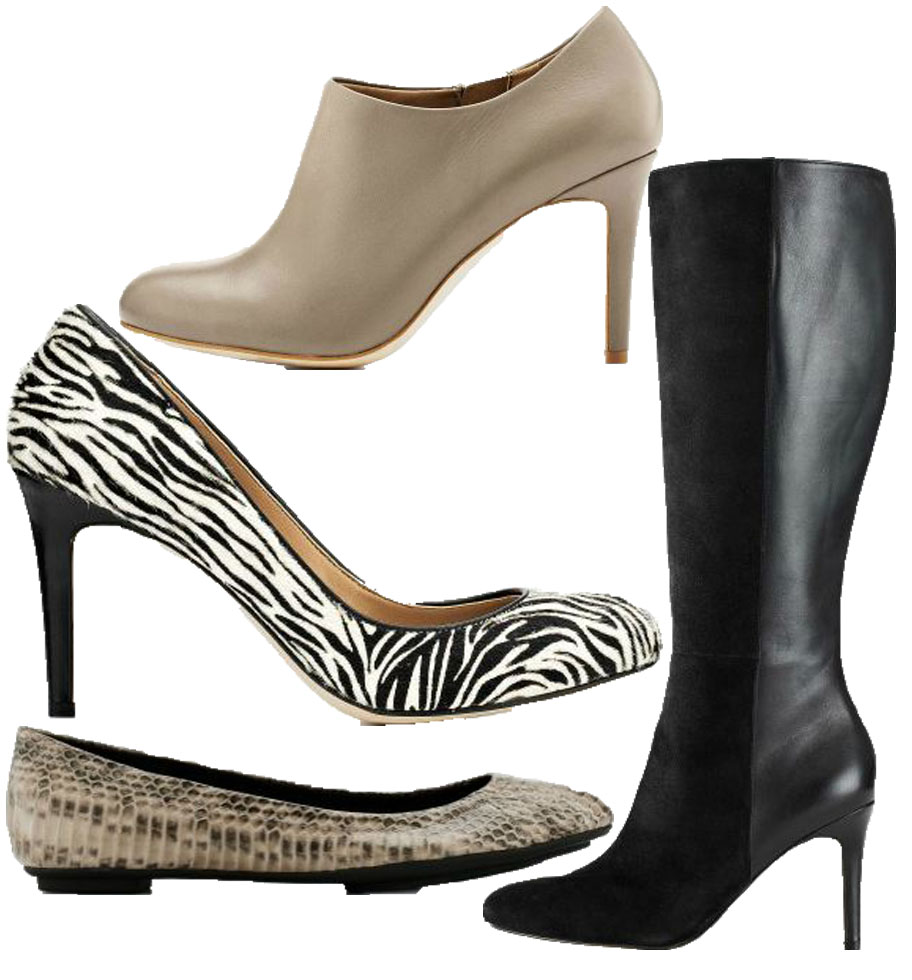 Ann Taylor shoes